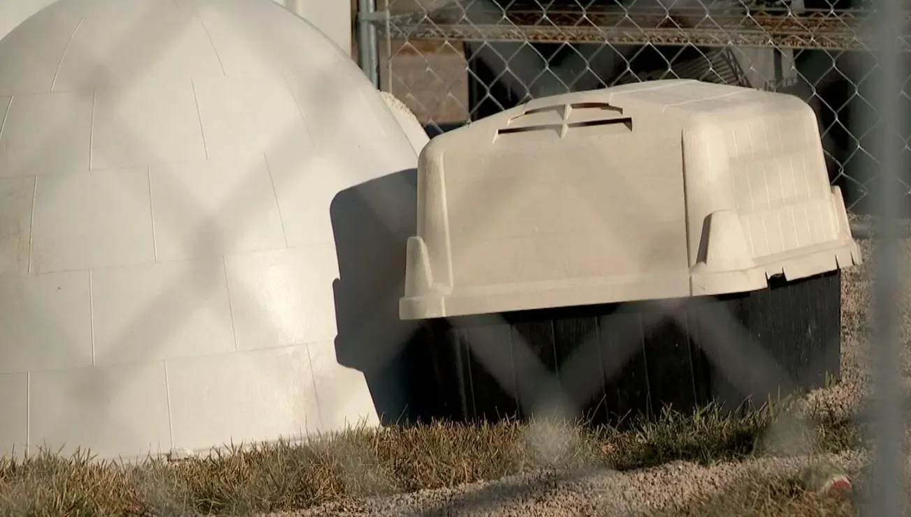 Un brote de zoonosis estreptocócica afecta un refugio de animales en Prince George's