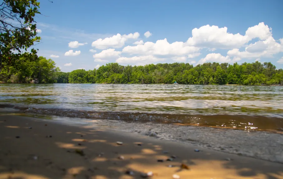 Virginia concluye la investigación sobre E. coli en el lago Anna y no se revela ninguna amenaza