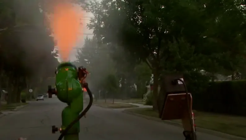 Activan medidas urgentes ante el aumento del riesgo del virus del Nilo Occidental en Chicago