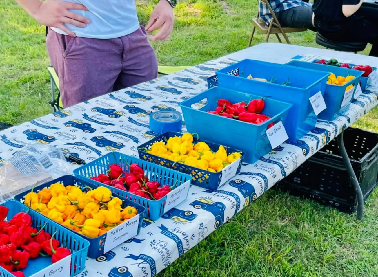 Pepper Festival y otros eventos en Oklahoma esta semana