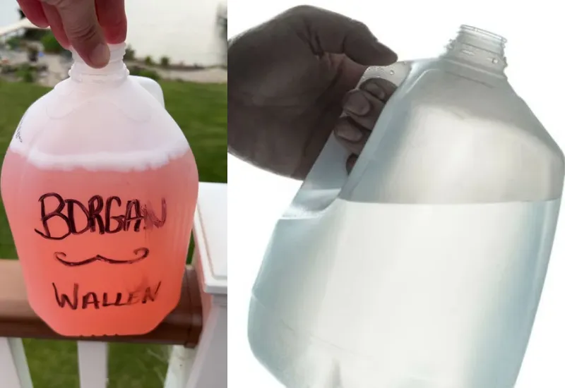 bebida BORG estudiantes