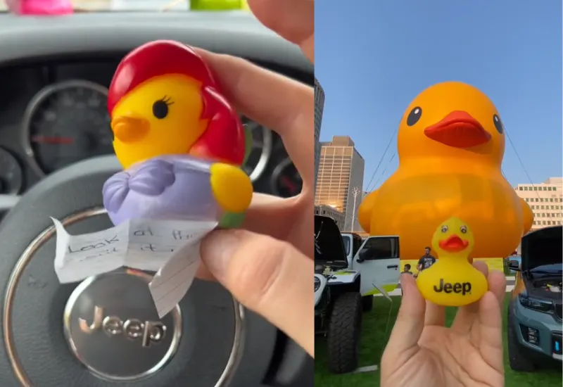 Jeep patos