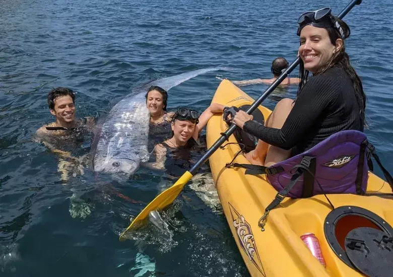 Hallan un "pez del fin del mundo" flotando en la costa de California 2 días antes del terremoto