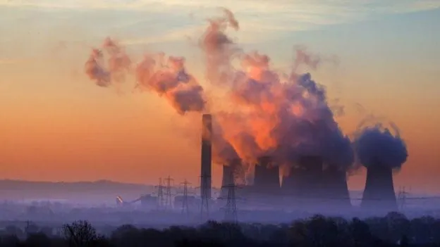 "El ecocidio va a ser el genocidio del siglo XXI"