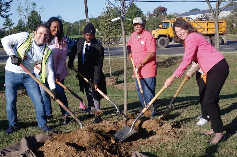 Árboles de cerezo llegan a Oxon Run Park  en Washington, DC gracias a Chase y el Festival de los Cherry Blossom
