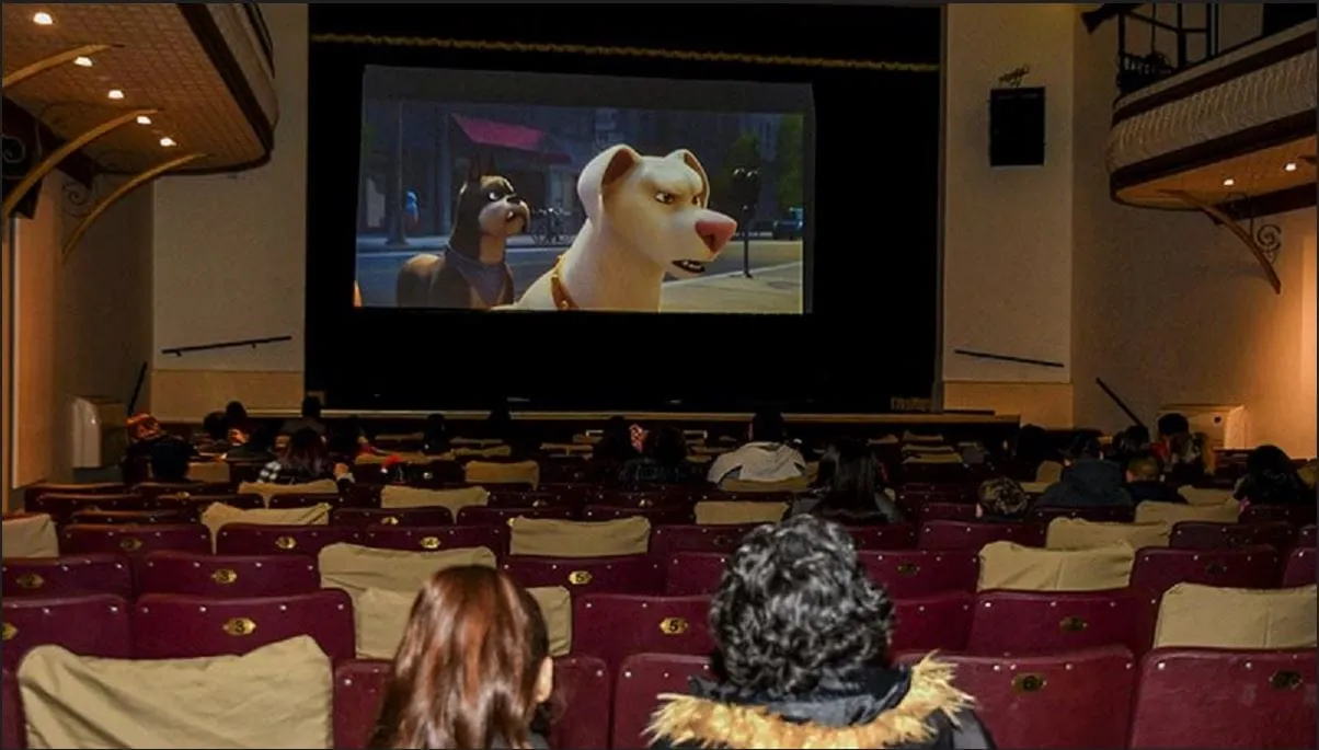 Inauguran el primer cine para perros. Incluye asientos adaptados