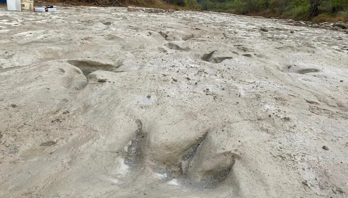 Sequía en Texas revela huellas de dinosaurio que datan de más de 113 millones de años