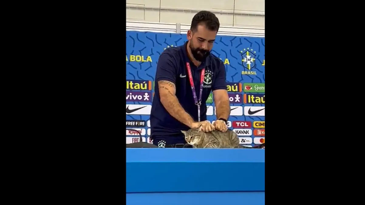 Un gato interrumpió rueda de prensa de Vinícius y la reacción de un asistente generó polémica