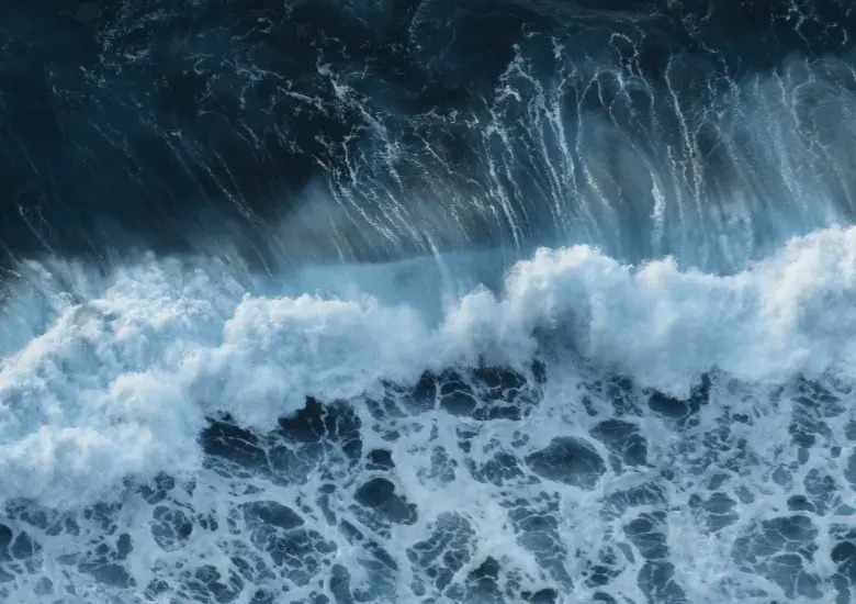 pareja ahogada florida