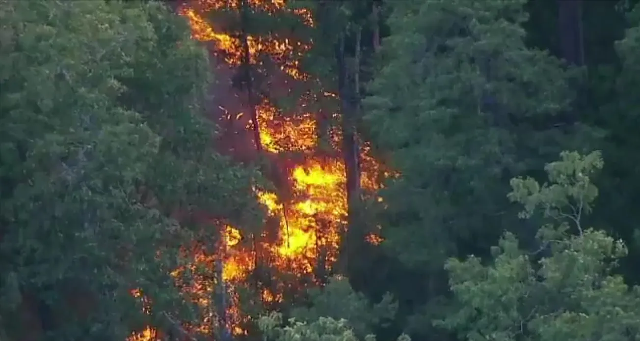 Nueva Jersey: Incendio voraz afecta el bosque Wharton y cuatro condados