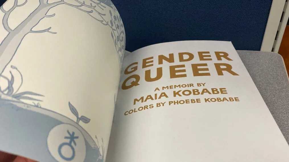 1.145 libros sobre raza y LGBT han sido prohibidos en las bibliotecas escolares de EE UU