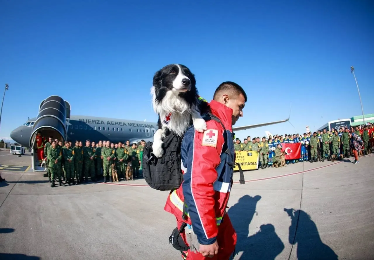 Perros de rescate de México llegaron a Turquía