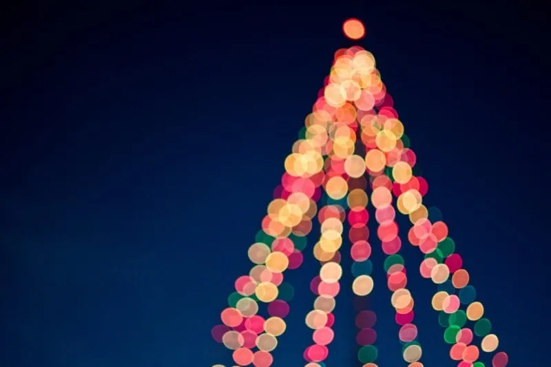 Celebra el inicio de la navidad en Union Square