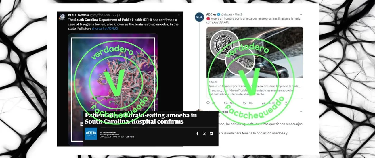 Sí, existen amebas 'comecerebros'