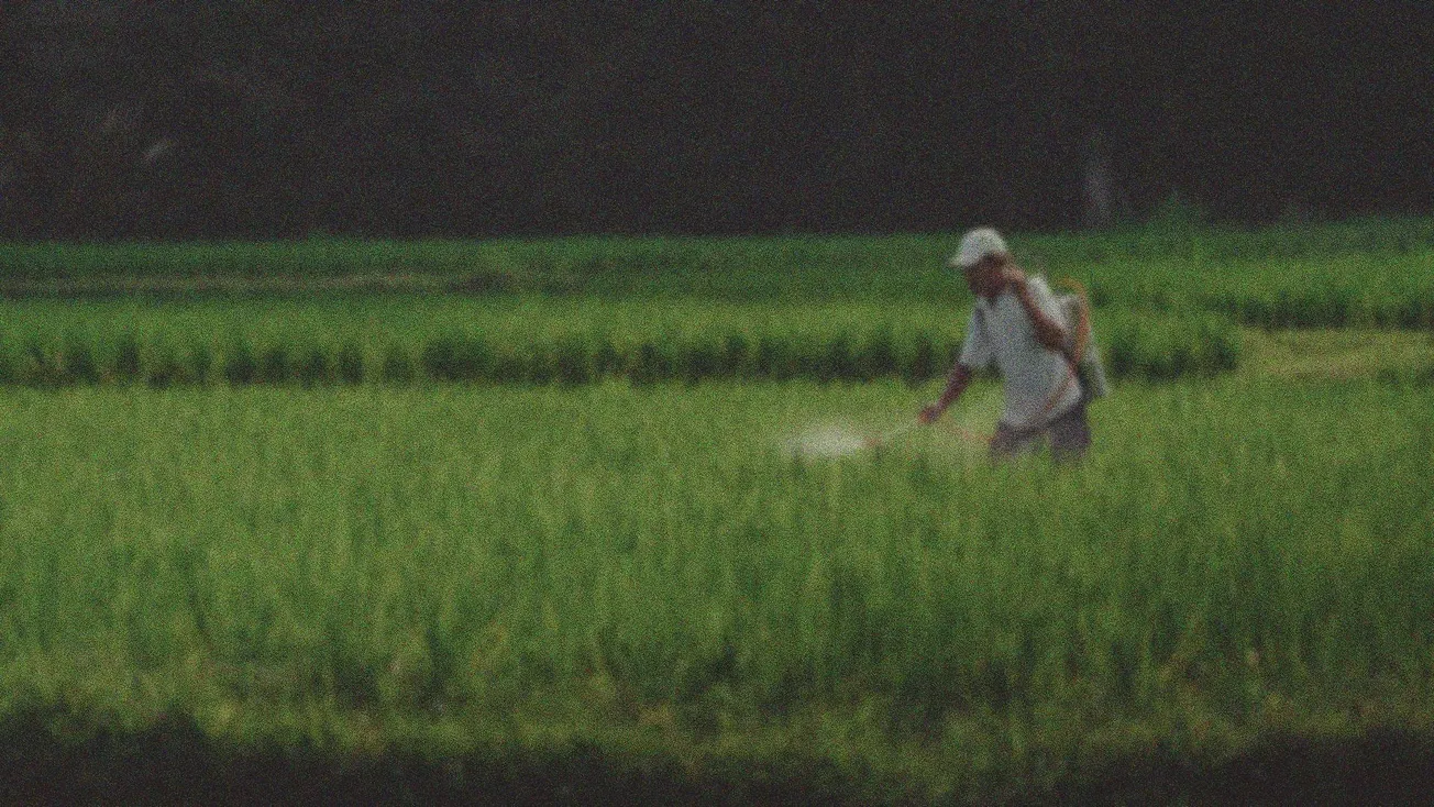 Se dice oficina, se pronuncia amnistía: el gobierno crea un espacio para facilitar visas de trabajo agrícola y estacional