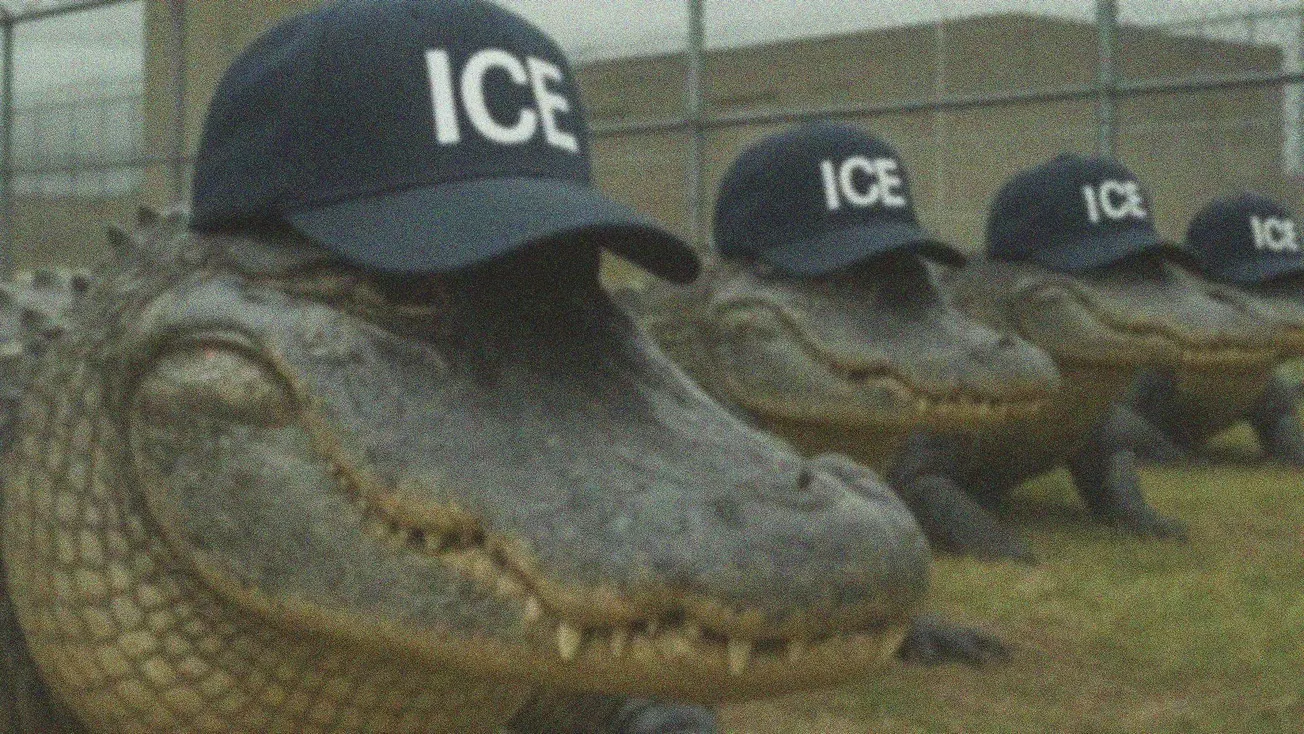 Los cocodrilos se comen el due process