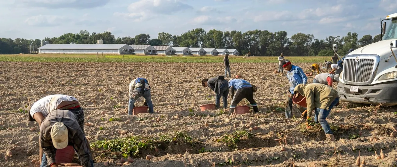 Por qué los latinos están más expuestos al calor extremo en el trabajo y cómo protegerse