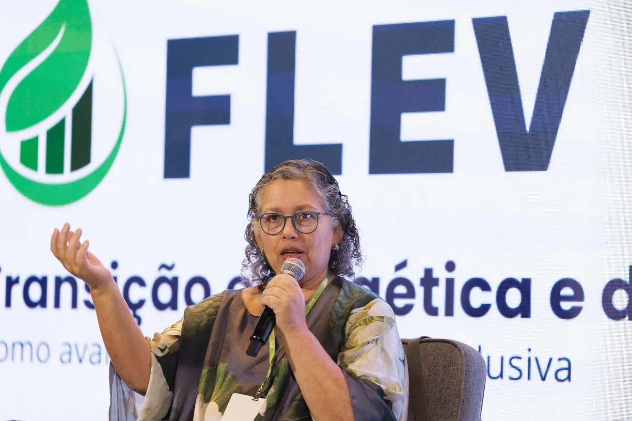 ONG y empresas esperan que Brasil redoble la apuesta por la descarbonización en la COP30