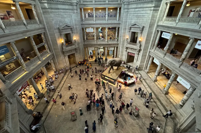 ¿Shutdown en DC? Guía de museos y atracciones que siguen abiertos