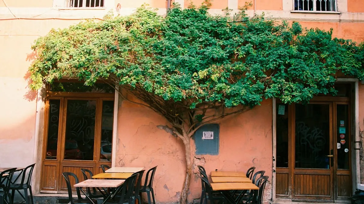 Comer al aire libre en DC será más caro y limitado: los streateries temporales dicen “hasta luego”