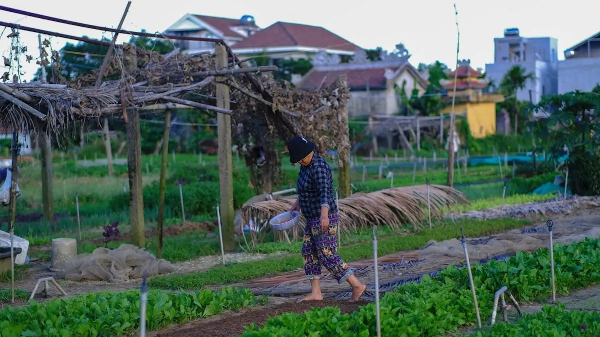 Maryland pierde millones por caída de ventas de soya