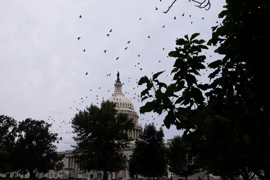 Fin del shutdown: qué esperar en DC