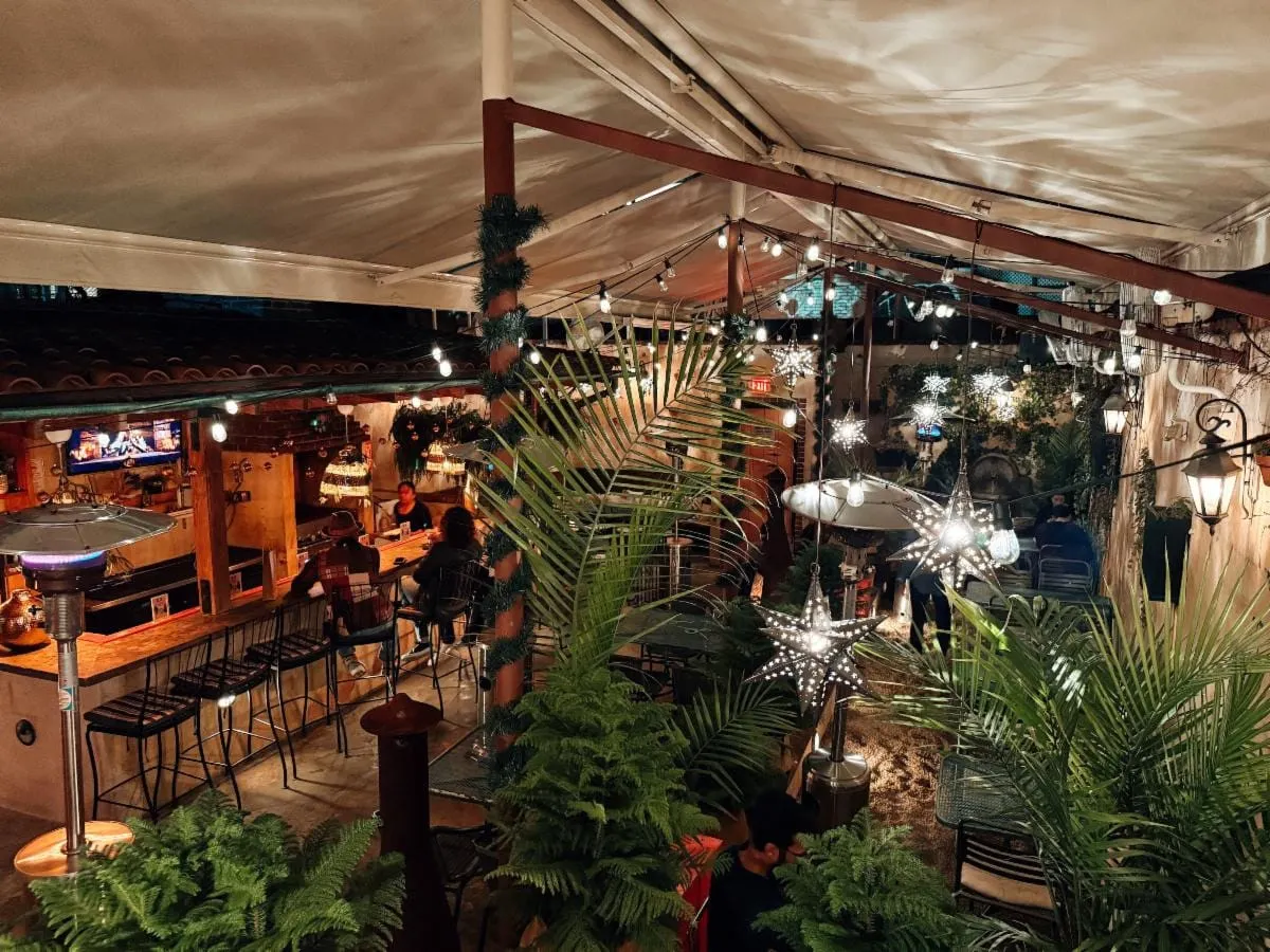 Lulu’s Winegarden se convierte en un oasis navideño con su pop-up “Lulu’s Wine(ter)garden”