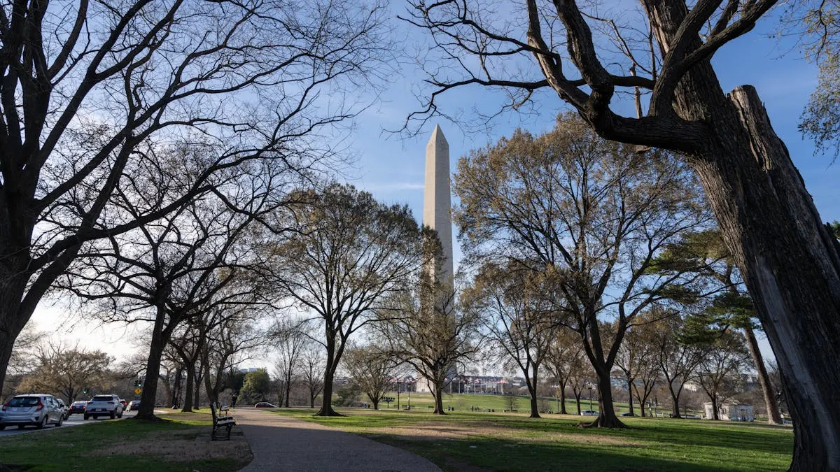 Parques de DC enfrentan recortes mientras llegan fondos para construcción