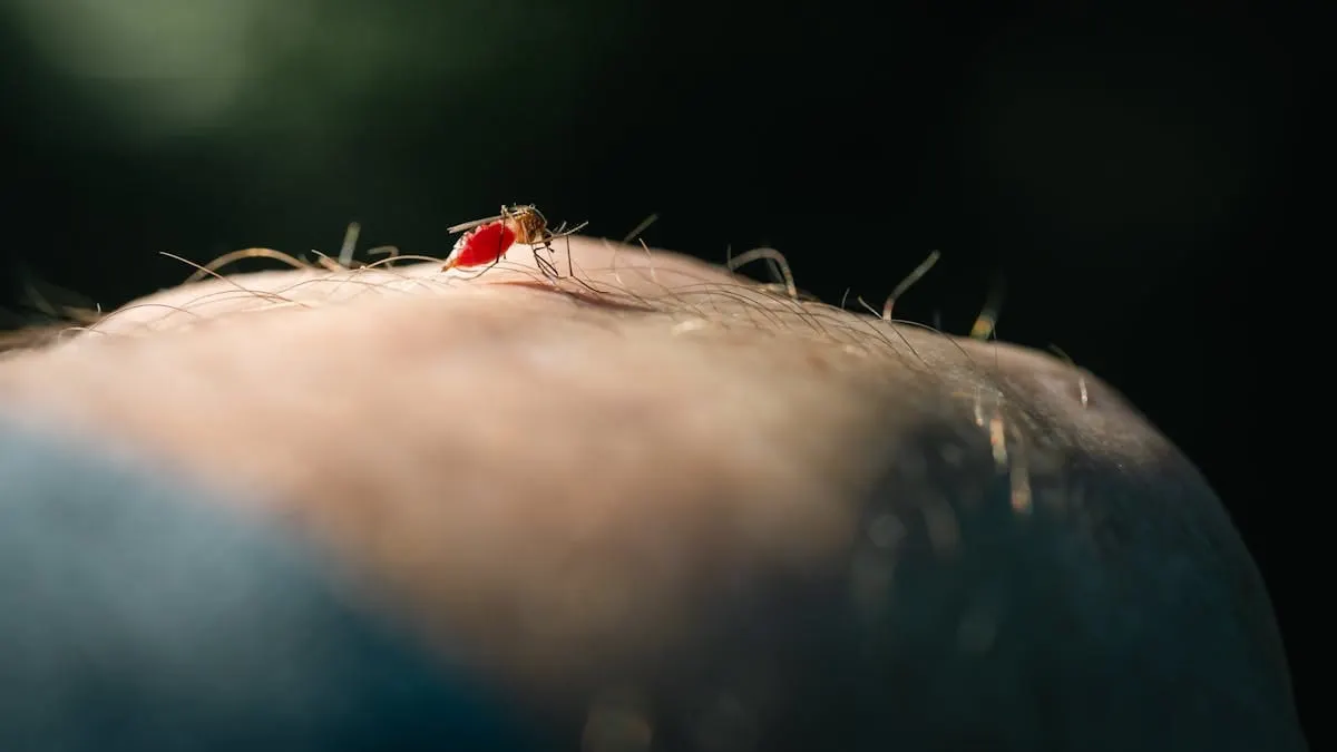 El DMV enfrenta una temporada de mosquitos más larga y agresiva