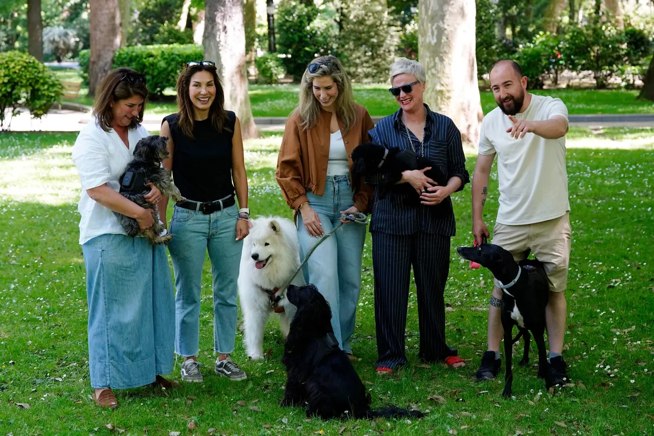 Una aplicación española monitoriza la salud de los perros para prevenir enfermedades