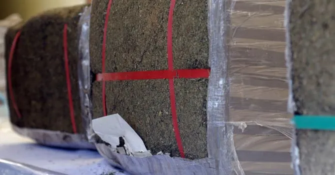 Desmantelan en Colorado operación millonaria del narcotráfico