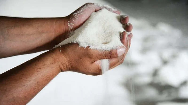 Sector azucarero de El Salvador se pronuncia ante el interés de China de comprar su producto
