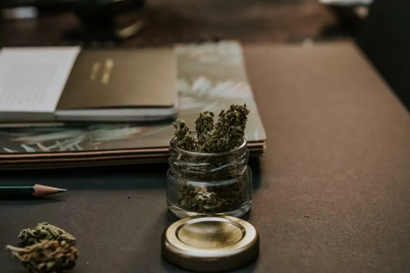 Legisladores de Maryland trabajan en proyecto para legalizar la marihuana