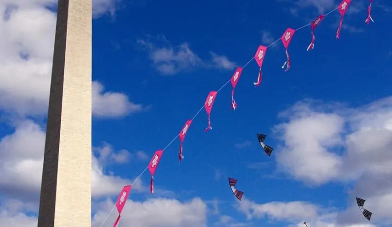 ¡A disfrutar con los cherry blossoms!