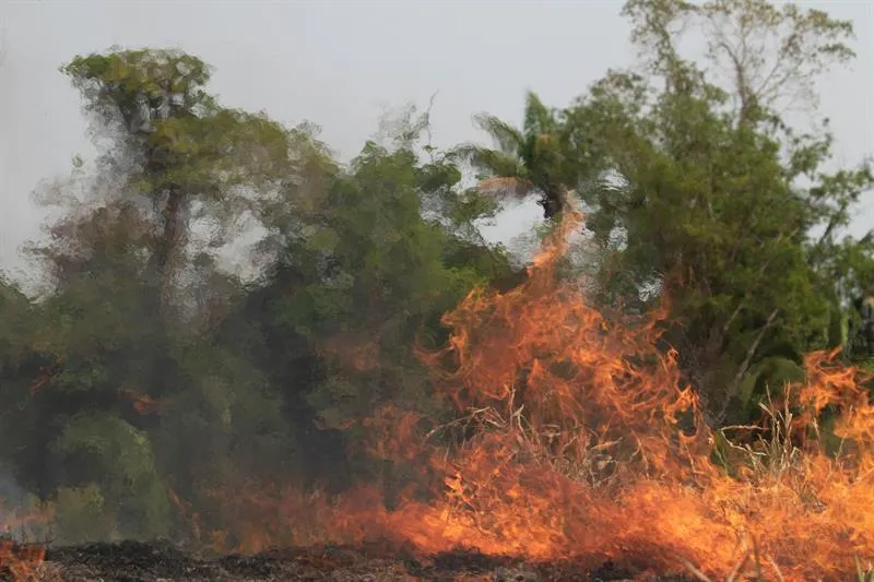 Brasil despliega Ejército para combatir incendios en Amazonía