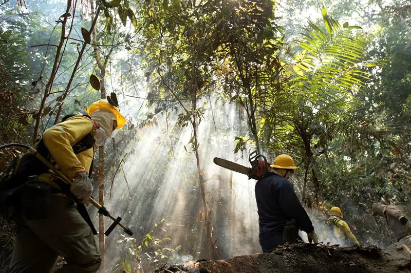 ONU podría organizar una cumbre sobre  Amazonía en Nueva York