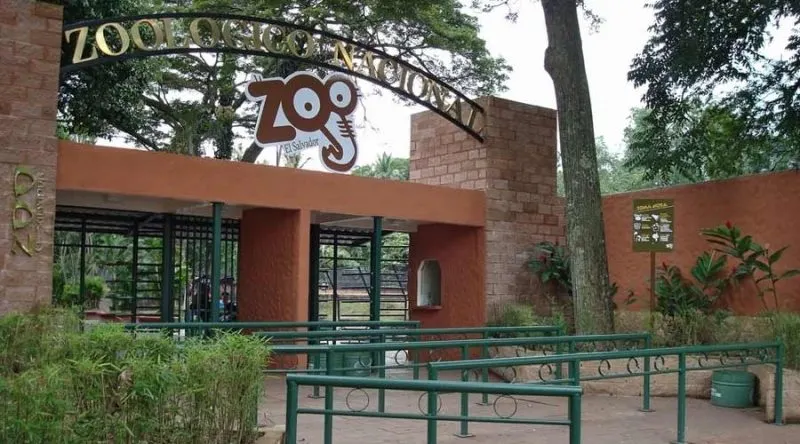 DC: Zoológico Nacional se prepara para su reapertura