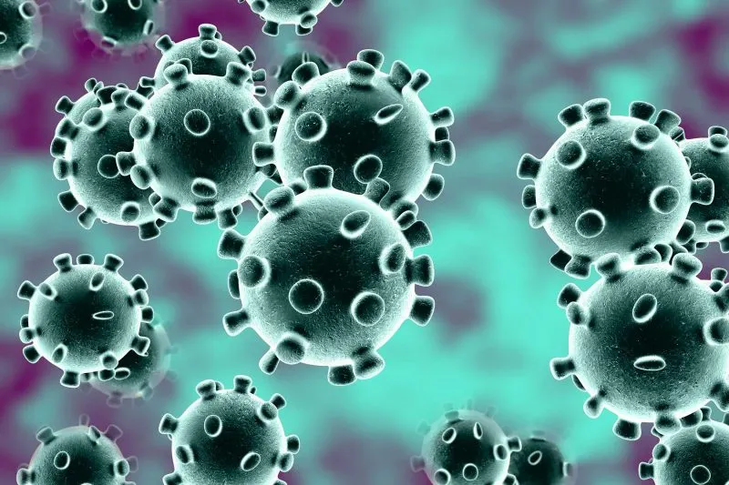 Massachusetts confirma más de 5 mil casos de coronavirus este domingo