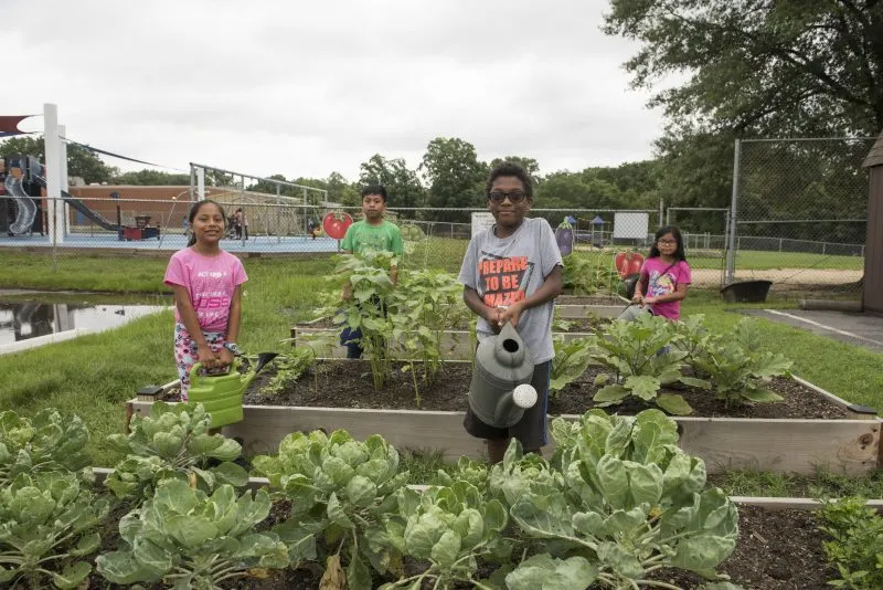 Verano de diversión y aprendizaje en Maryland