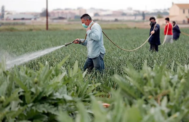 FAO advierte que pandemia puede causar hambre y crisis para agricultores
