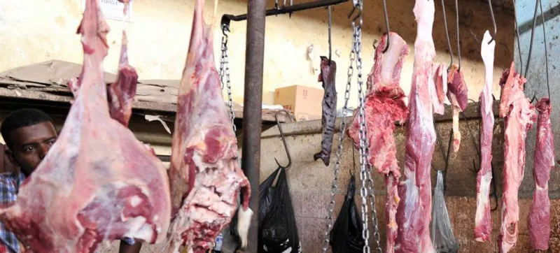 Regular los mercados de animales, esencial para evitar pandemias como la del coronavirus