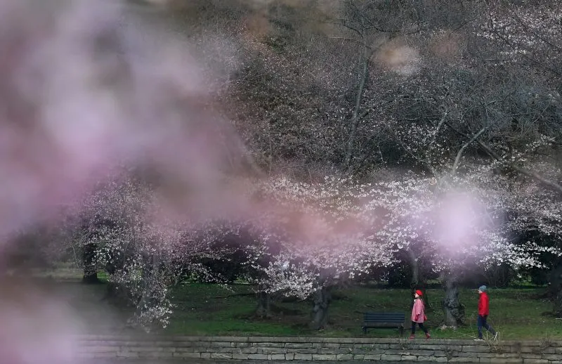 OPINIÓN: El planeta azul sin sangre azul