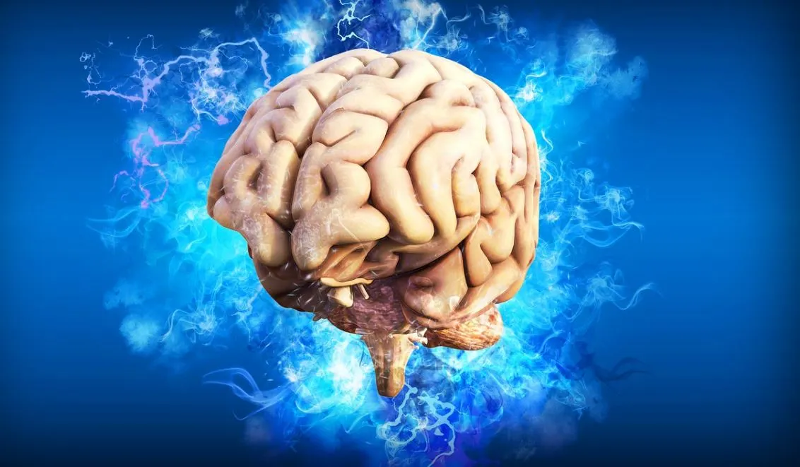 Opinión | Hackear el cerebro