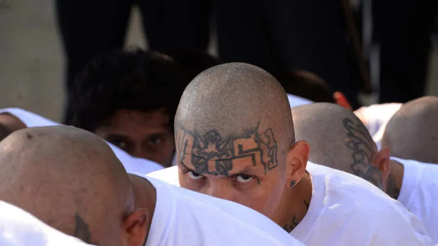 Medio de comunicación reseña negociación entre gobierno de El Salvador y pandillas