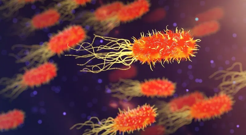 Una bacteria infecta a miles de personas en China