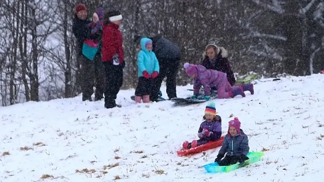 Primera nevada del año en DC dejó entre dos y tres pulgadas de nieve