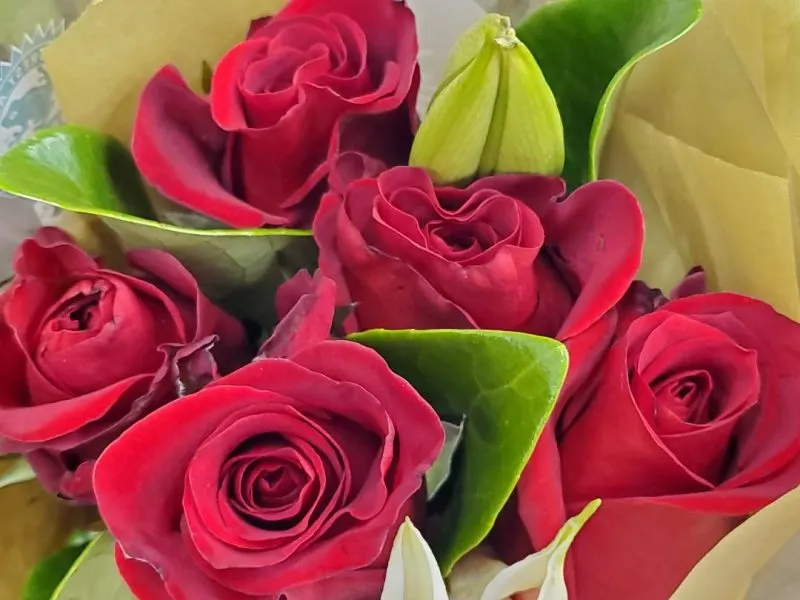 Madre hay una sola y festéjela con flores, queso y vino