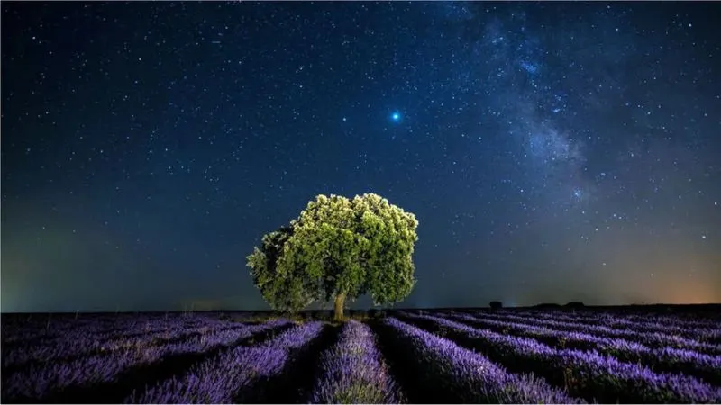 La carrera para salvar a la humanidad con una "civilización galáctica"