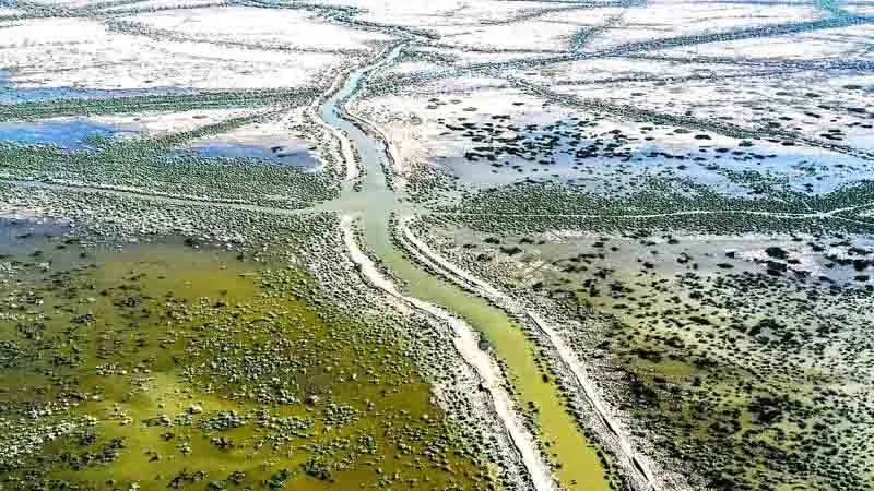 Cómo la escasez de agua está provocando cada vez más guerras en el mundo (y dónde serán los próximos conflictos)