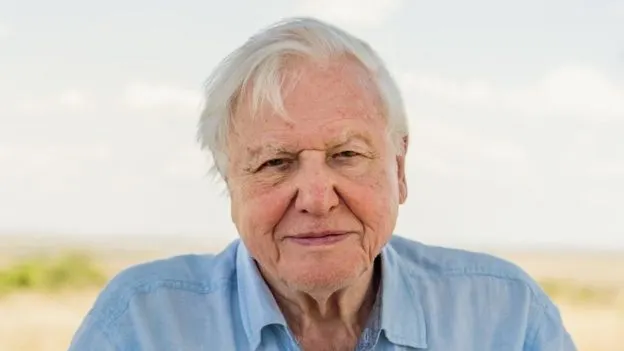 Cambio climático: la advertencia de David Attenborough antes de que sea "demasiado tarde" para salvar al planeta